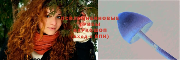 тгк Снежногорск