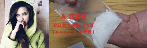 PSILOCYBIN Богородск