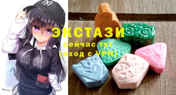 тгк Снежногорск