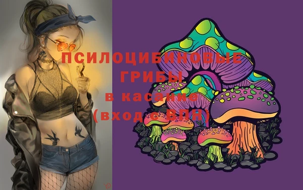 крисы Богородицк