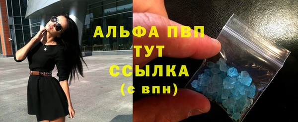 крисы Богородицк