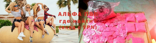 крисы Богородицк