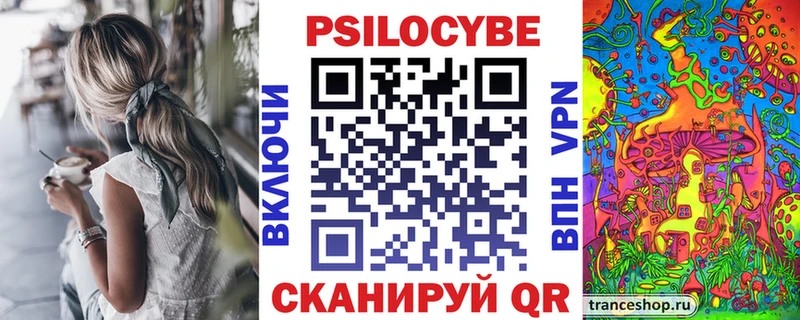 Псилоцибиновые грибы Psilocybine cubensis Няндома
